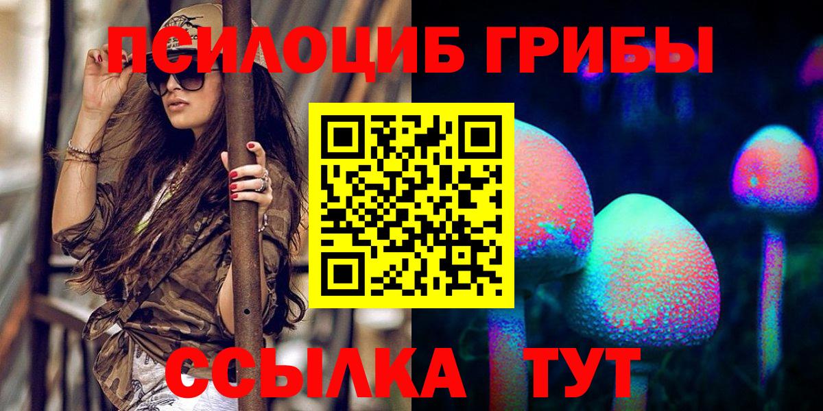 Псилоцибиновые грибы Cubensis Губкин