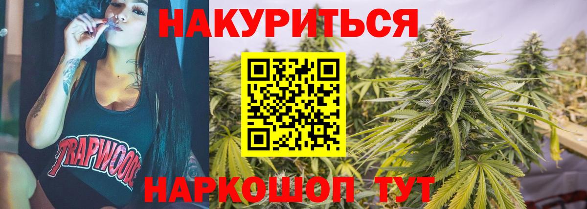 Канабис сатива  МАРИХУАНА планчик  Вход с VPN  Каннабис планчик  Губкин 